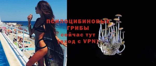apvp Алексеевка