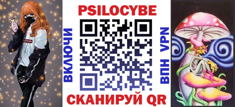 Псилоцибиновые грибы Psilocybine cubensis  Моздок 